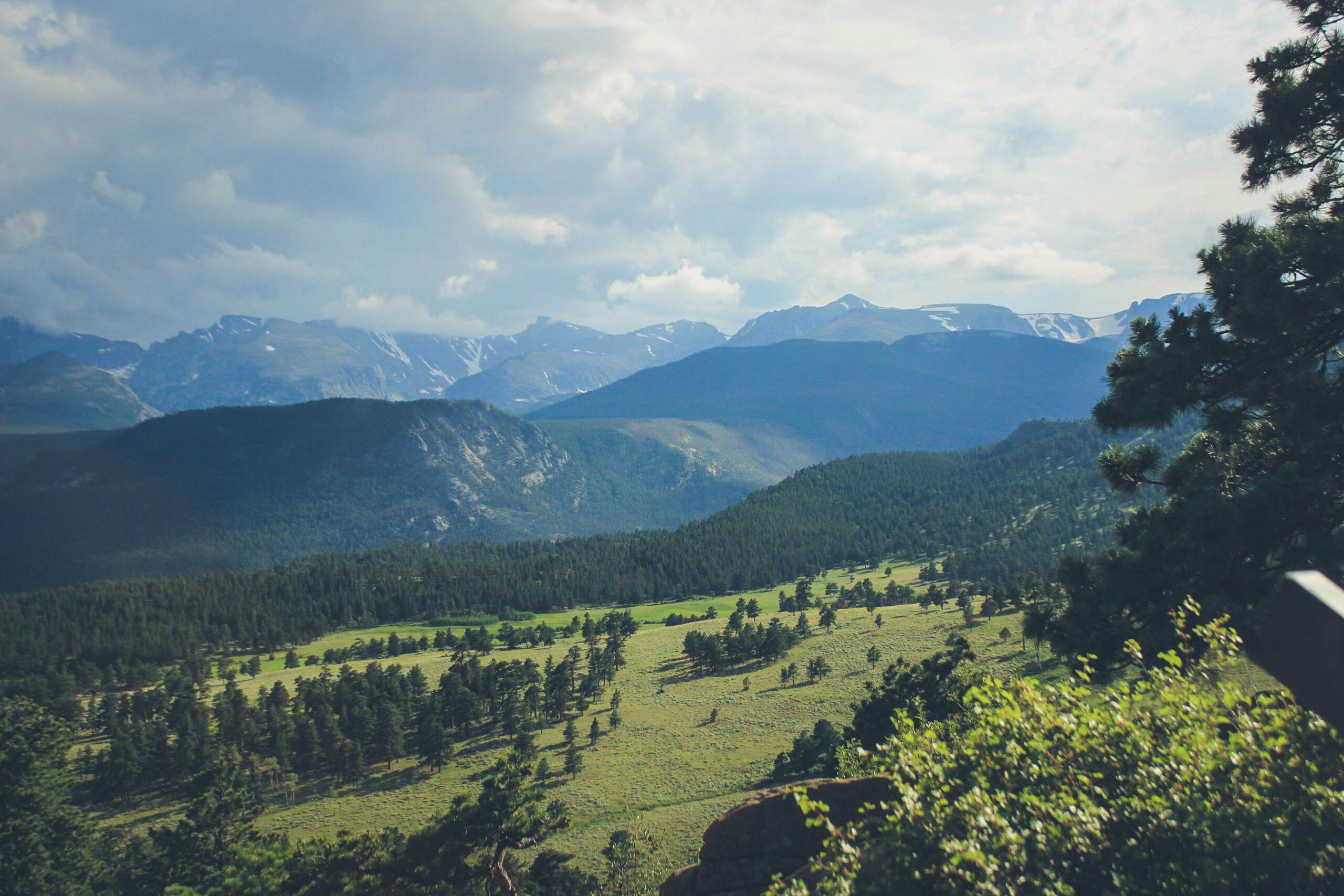 Balancing the Mind: Research and Engagement in Mindfulness
